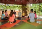 Professional Yoga Teacher Training and Certification Program